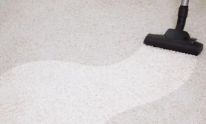carpet cleaning miami